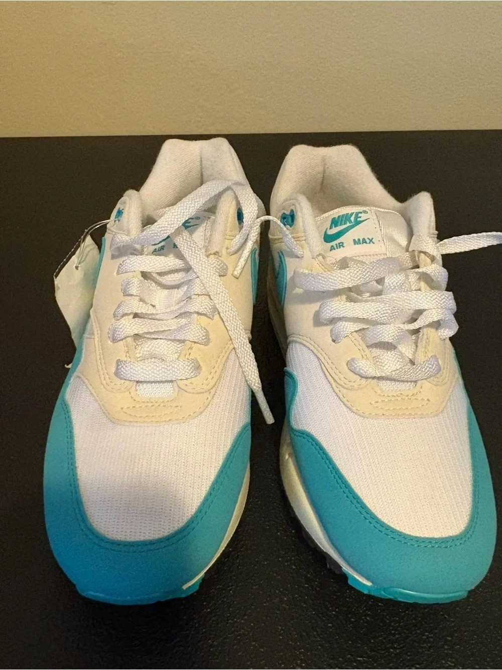 Nike Air Max 1 Aquatone Teal White Women’s 9.5 New With Tags